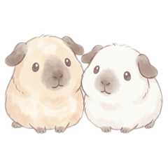 runa_20260303150020