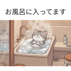 Where Are You? Reply Cat