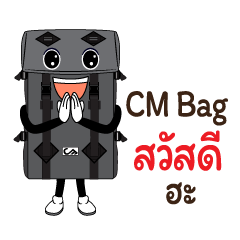 CM Bag Design
