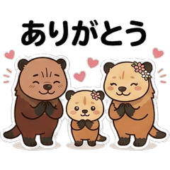 [Bush Dog Family]Everyday phrases