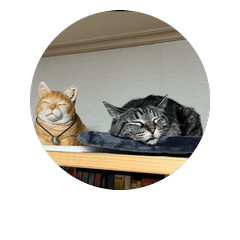 Shi-chan the Cat Stickers