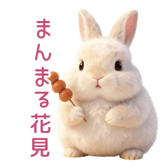 Round Rabbit: Spring & Daily Life