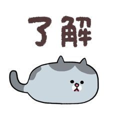 zawawa_20260305175524