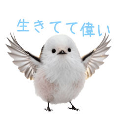 Positive Shimaenaga at Work