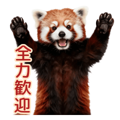 Intimidating Pose Red Panda