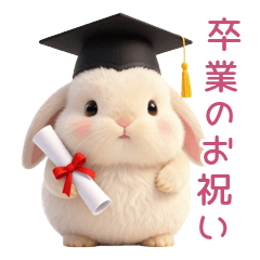 Round Rabbit Spring & Graduation