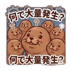 Konochan_20260305180420