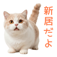 Short-Legged Munchkin Adventure