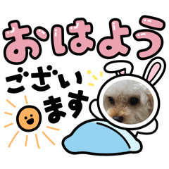 Koko_20260305205957
