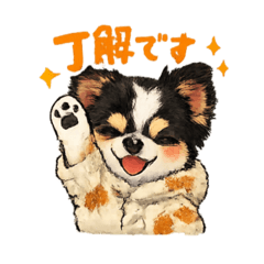maru_1122