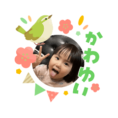 machico_20260305221548