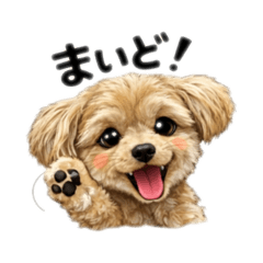 Murajun_20260306075703