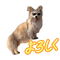 kouki_20260305221526