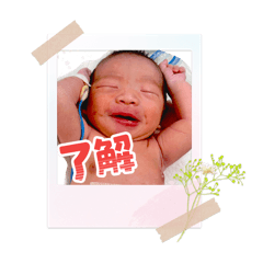 ichichi_20260306124956