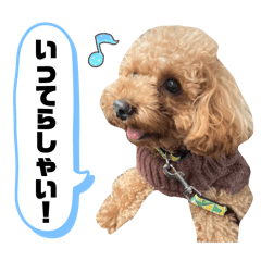natsumi_20260306130606