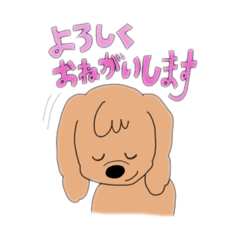 kanico_20260305185938
