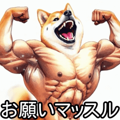 動く！ムキムキ犬の日常