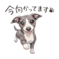 Yurina_20260305212536