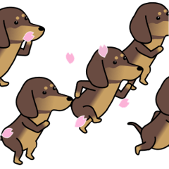 激しく尻尾をふるイヌ【桜吹雪篇】