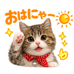 nameko924 LINE stickers & emoji | LINE STORE