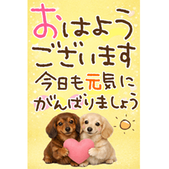 long sentence Miniature Dachshund p