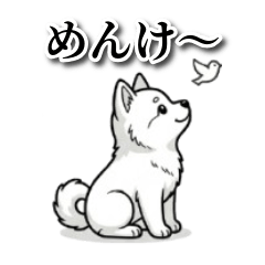 Fluffy Akita Puppy (Akita Dialect)