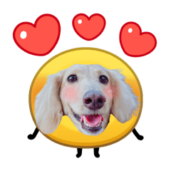 臘腸狗豆豆71♡和小黃人♡