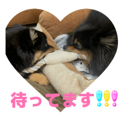 Rei_20260306004919