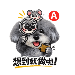 Q nei 生肖血型