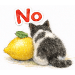 Kittens and fruits