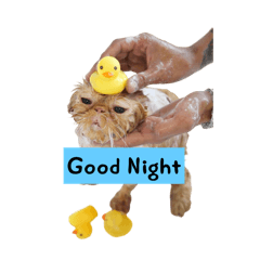 Goodnightcheta