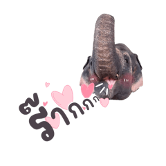 โลกของของถังถัง