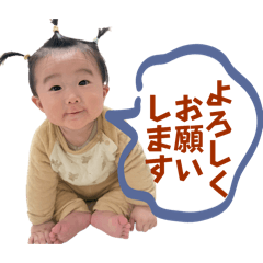 aomama_20260306124300