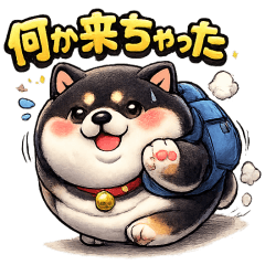 Fat black Shiba Inu Sticker