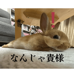 watawata_20260306143905