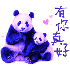 生活好用日常 _C5