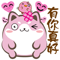 《胖胖喵真口愛》有你真好