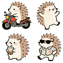 silly Hedgehog Taiwan Vibes(40 sets)