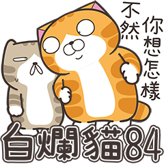 白爛貓84☆超有病☆