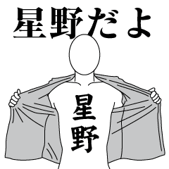 HOSHINO REVOLUTION 2