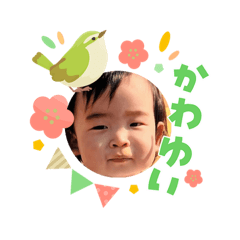 chocolat@0114_20260306153337