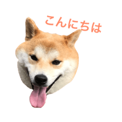 Hachiro 's happiness quite happy day!