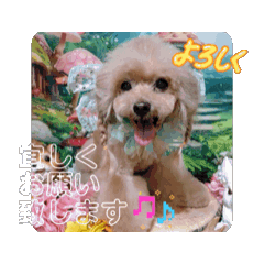 monanoa_20260306143113