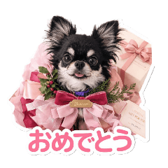 ciwakko_20260306170314