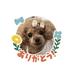 kana_20260306173252
