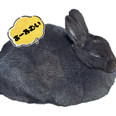 saachan_20260306201431