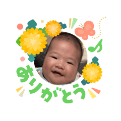 risa_20260306214325