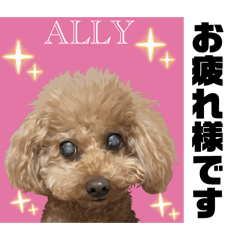 Aripoke_20260306183223