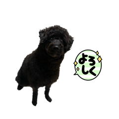 Hacchi_20260306165258