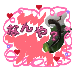 kizu-chang_20260306212656